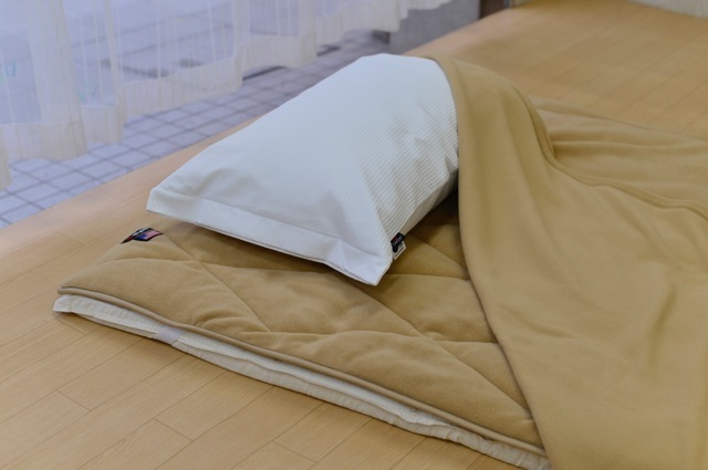 ポーラテック毛布